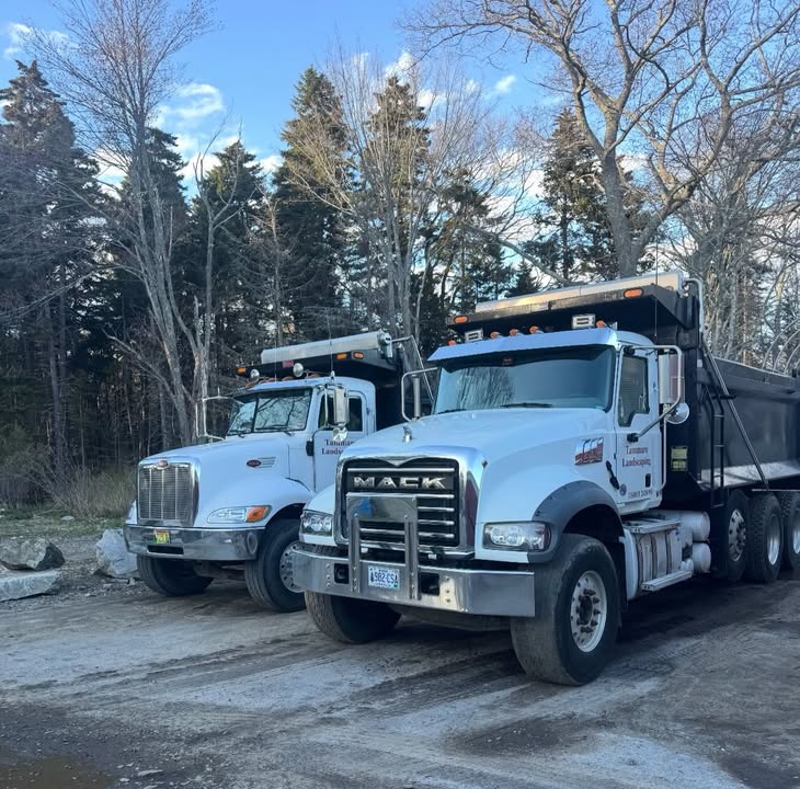 Tammaro Landscaping
