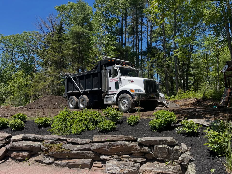 Tammaro Landscaping