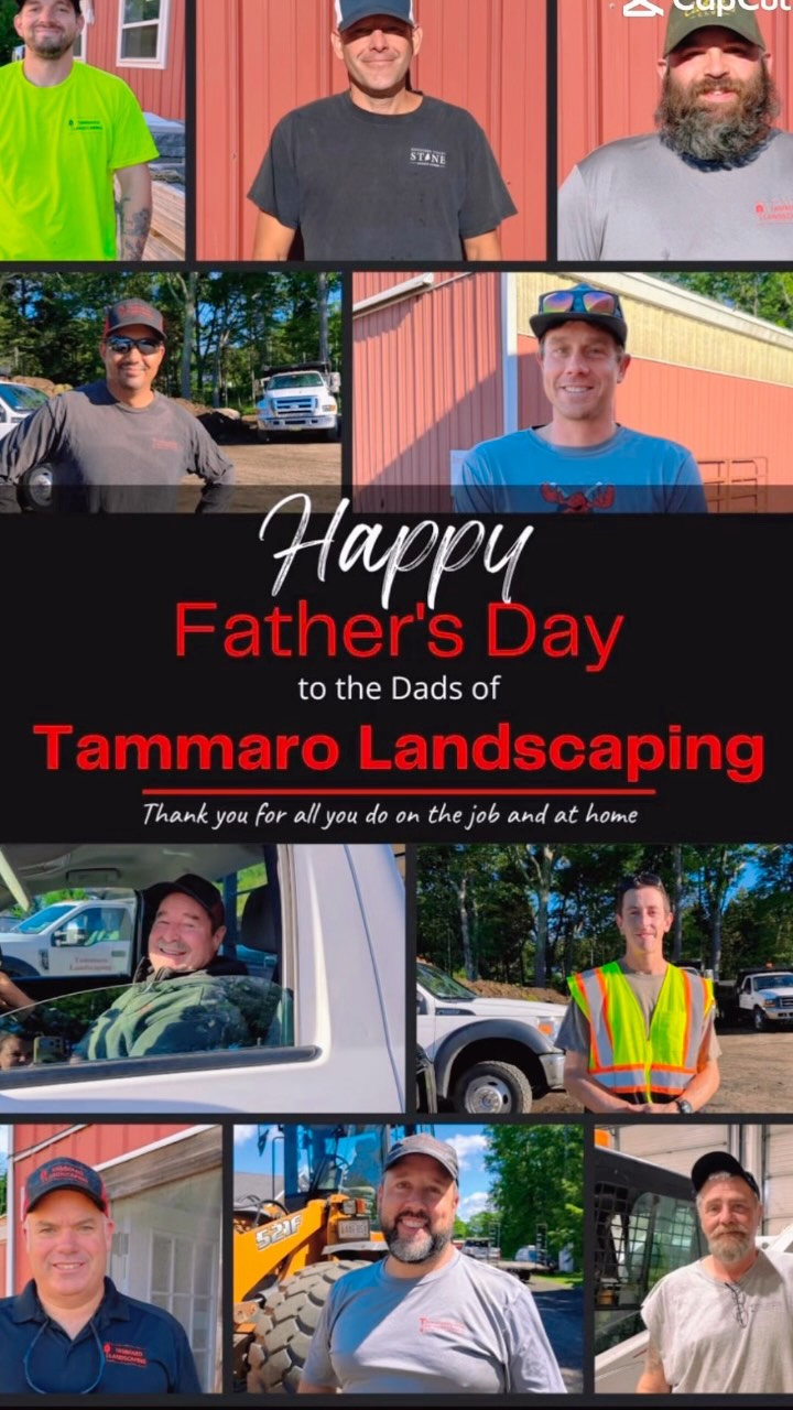 Tammaro Landscaping
