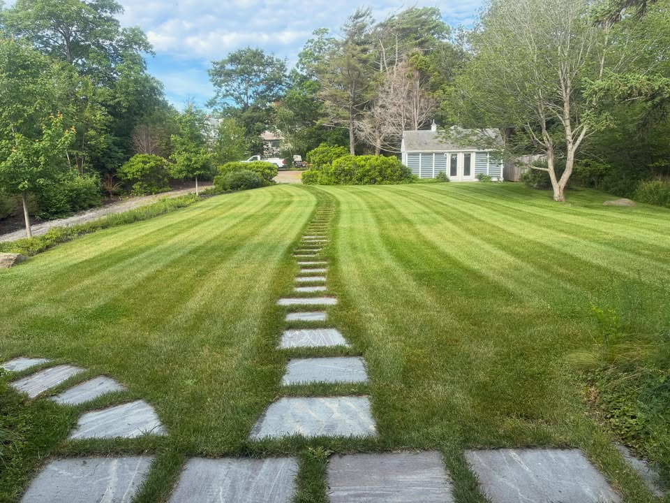 Tammaro Landscaping