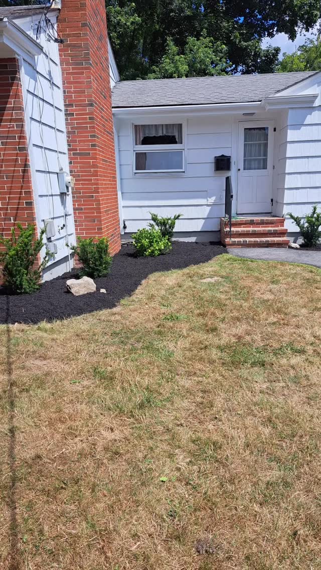 Tammaro Landscaping