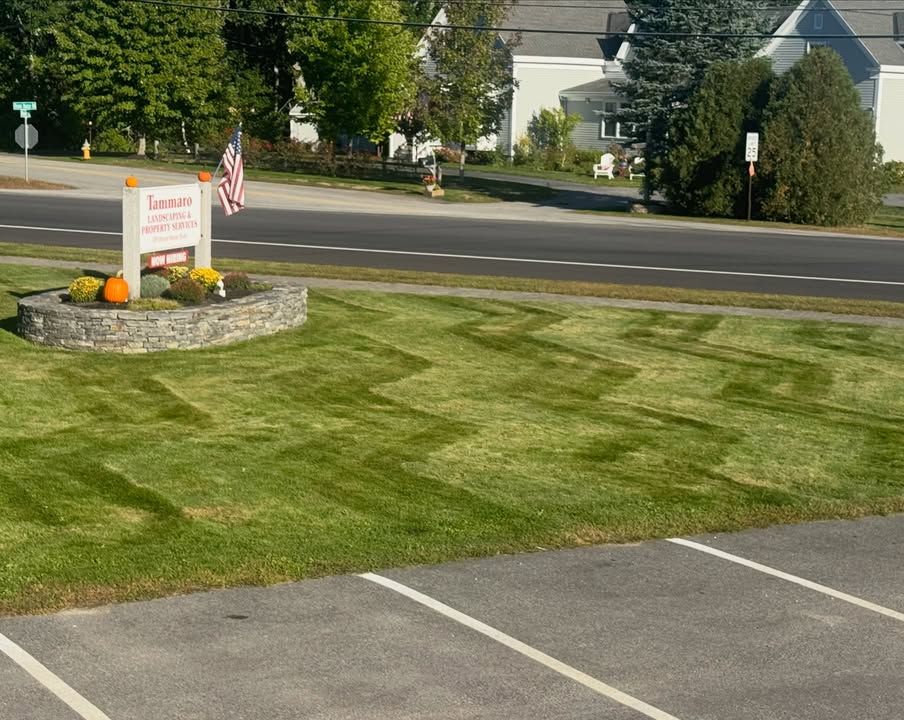 Tammaro Landscaping